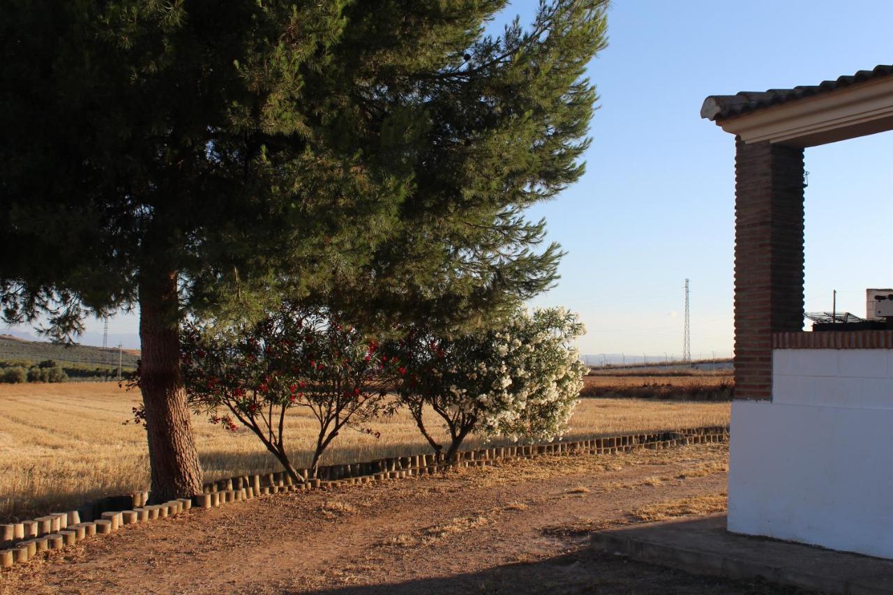 Casa Rural La Rosa De Los Vientos Fuente de Piedra Eksteriør billede